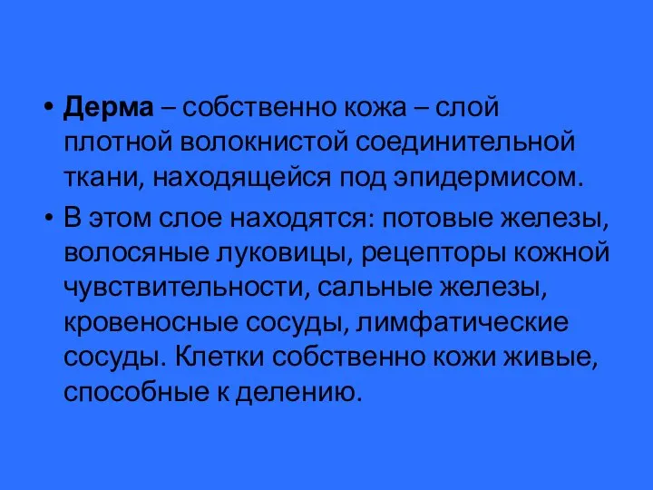 Дерма – собственно кожа – слой плотной волокнистой соединительной ткани, находящейся под