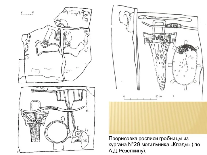 Прорисовка росписи гробницы из кургана №28 могильника «Клады» ( по А.Д. Резепкину).