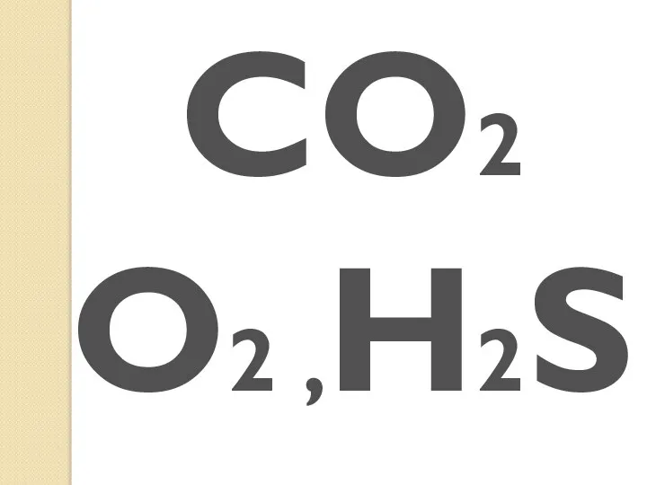 CO2 O2 ,H2S