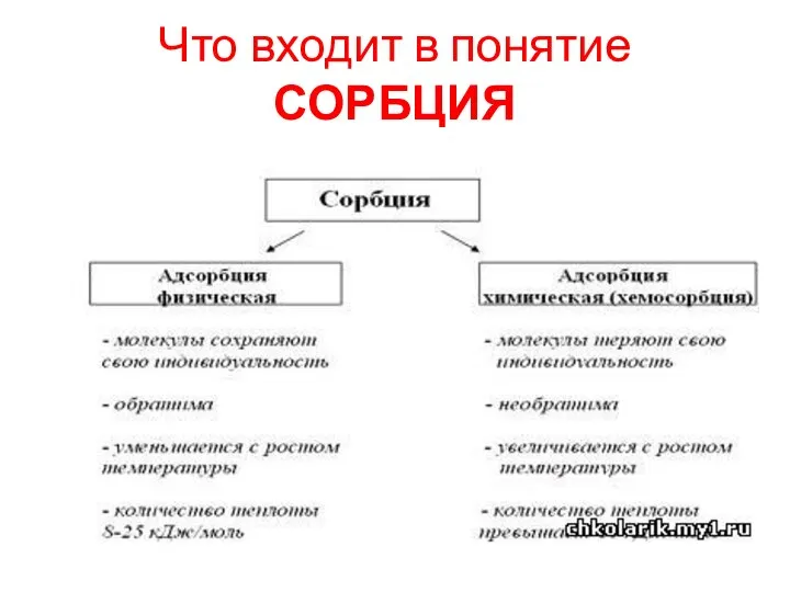 Что входит в понятие СОРБЦИЯ