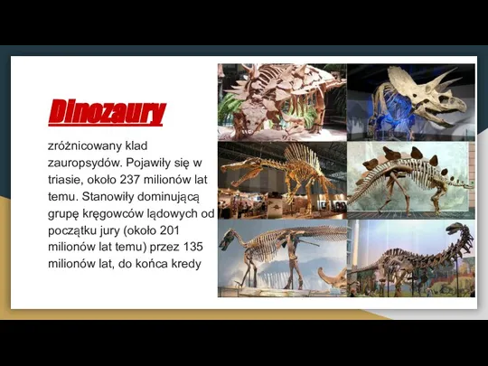 Dinozaury zróżnicowany klad zauropsydów. Pojawiły się w triasie, około 237 milionów lat