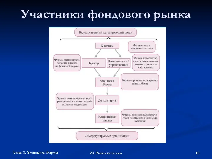 Участники фондового рынка Глава 3. Экономика фирмы 20. Рынок капитала