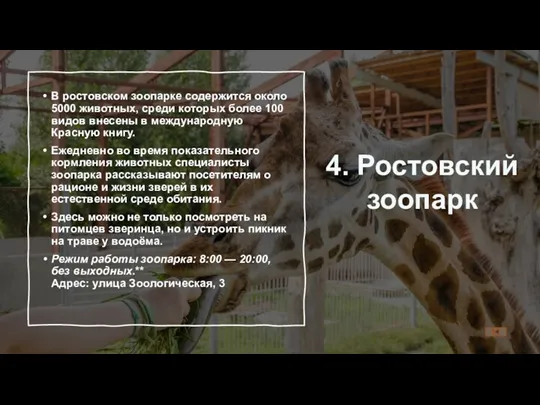 4. Ростовский зоопарк В ростовском зоопарке содержится около 5000 животных, среди которых