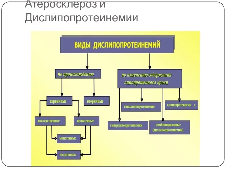 Атеросклероз и Дислипопротеинемии