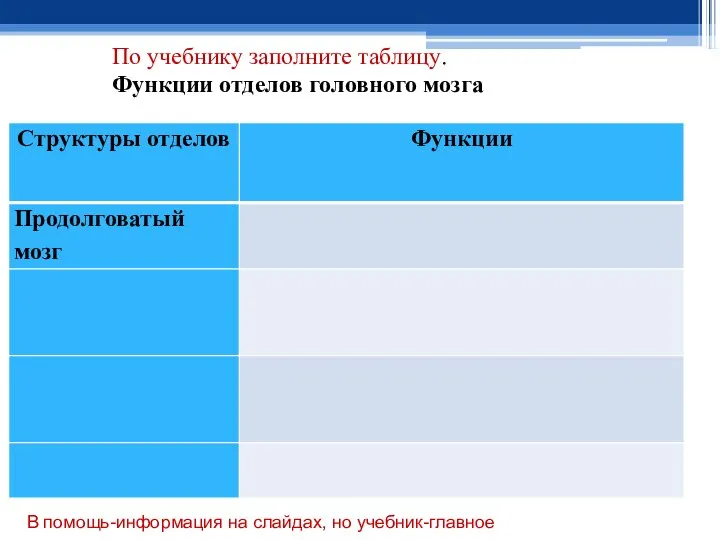 По учебнику заполните таблицу. Функции отделов головного мозга В помощь-информация на слайдах, но учебник-главное