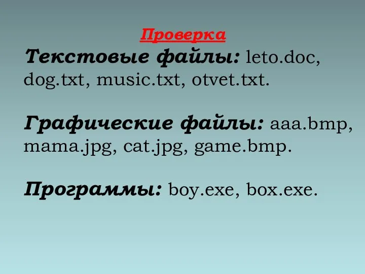 Текстовые файлы: leto.doc, dog.txt, music.txt, otvet.txt. Графические файлы: aaa.bmp, mama.jpg, cat.jpg, game.bmp. Программы: boy.exe, box.exe. Проверка