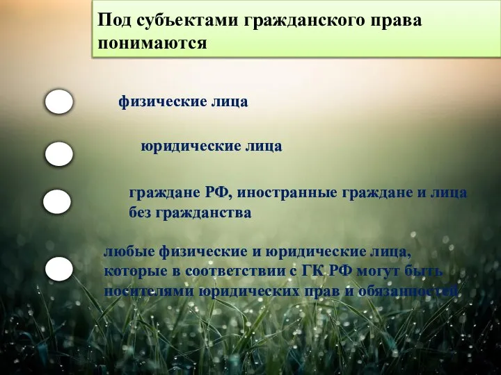 Под субъектами гражданского права понимаются физические лица юридические лица граждане РФ, иностранные