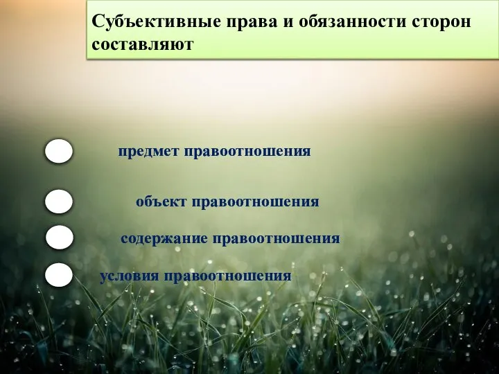 Субъективные права и обязанности сторон составляют предмет правоотношения объект правоотношения содержание правоотношения условия правоотношения