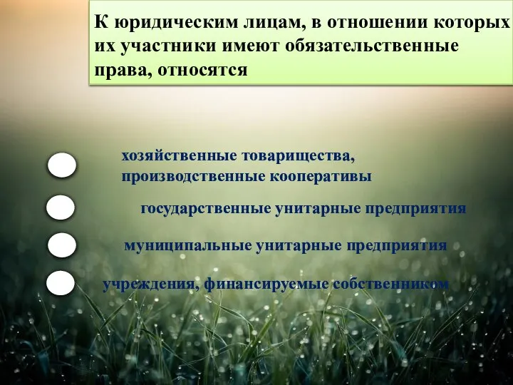 К юридическим лицам, в отношении которых их участники имеют обязательственные права, относятся