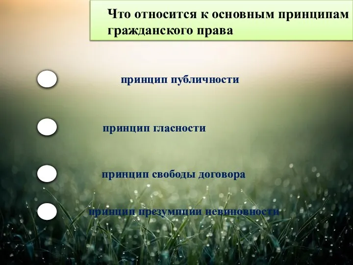 Что относится к основным принципам гражданского права принцип публичности принцип гласности принцип