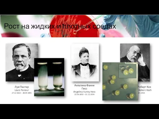 Рост на жидких и плотных средах Луи Пастер Louis Pasteur 27.12.1822 –