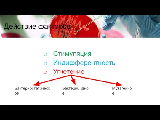 Действие факторов Стимуляция Индифферентность Угнетение Бактерицидное Бактериостатическое Мутагенное