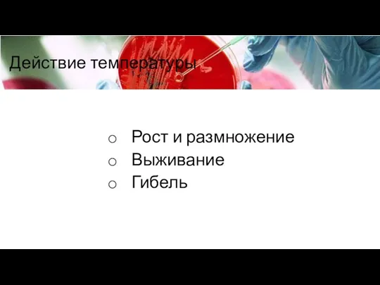 Действие температуры Рост и размножение Выживание Гибель