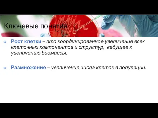 Ключевые понятия Рост клетки – это координированное увеличение всех клеточных компонентов и