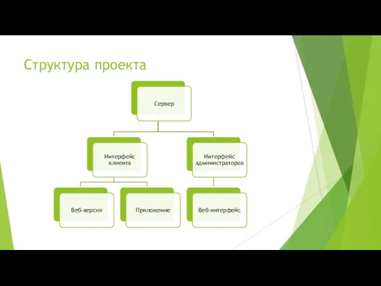 Структура проекта