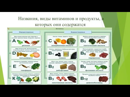 Названия, виды витаминов и продукты, в которых они содержатся