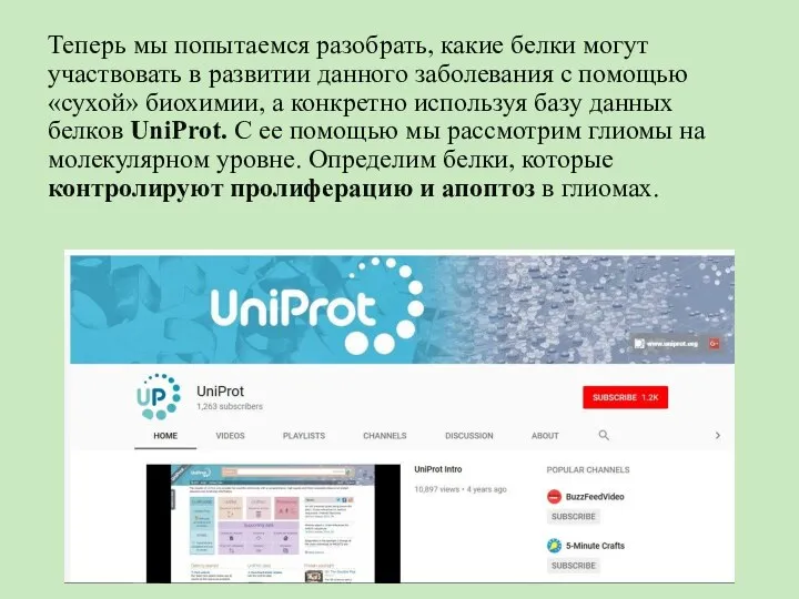 Теперь мы попытаемся разобрать, какие белки могут участвовать в развитии данного заболевания