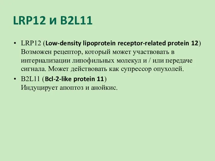 LRP12 и B2L11 LRP12 (Low-density lipoprotein receptor-related protein 12) Возможен рецептор, который