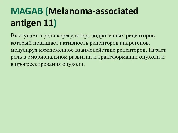 MAGAB (Melanoma-associated antigen 11) Выступает в роли корегулятора андрогенных рецепторов, который повышает