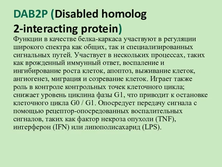 DAB2P (Disabled homolog 2-interacting protein) Функции в качестве белка-каркаса участвуют в регуляции