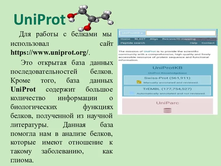 UniProt Для работы с белками мы использовал сайт https://www.uniprot.org/. Это открытая база