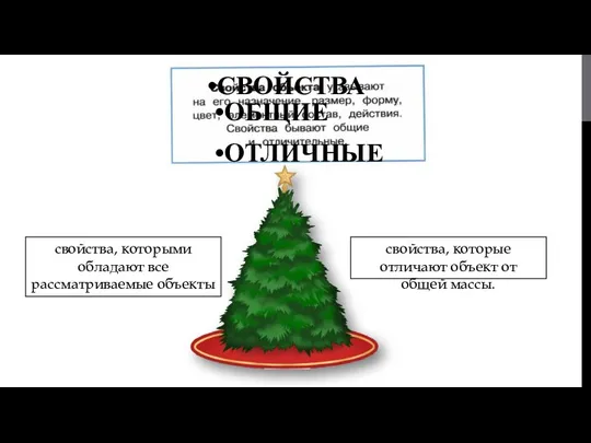 СВОЙСТВА ОБЩИЕ ОТЛИЧНЫЕ свойства, которыми обладают все рассматриваемые объекты свойства, которые отличают объект от общей массы.