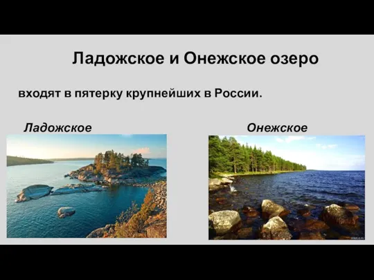 Ладожское и Онежское озеро входят в пятерку крупнейших в России. Ладожское Онежское