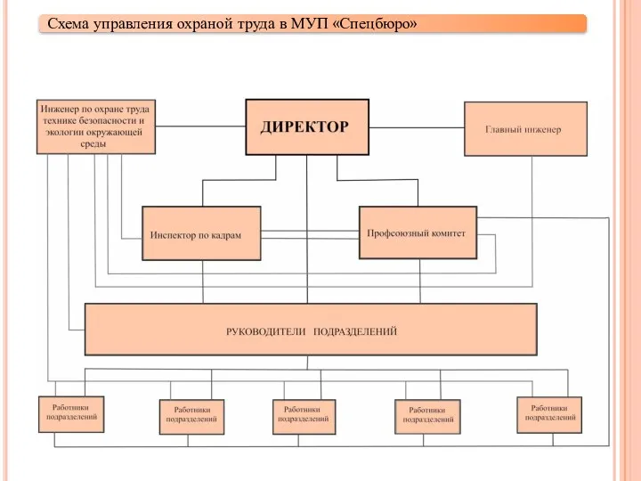 Схема управления охраной труда в МУП «Спецбюро»