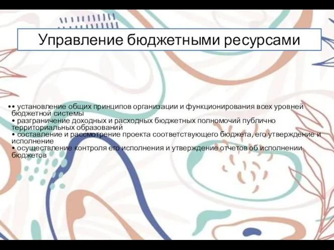 • установление общих принципов организации и функционирования всех уровней бюджетной системы •