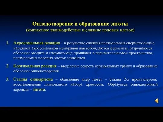 Оплодотворение и образование зиготы Акросомальная реакция – в результате слияния плазмолеммы сперматозоида