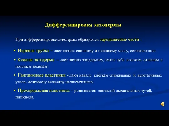 Нервная трубка – дает начало спинному и головному мозгу, сетчатке глаза; Кожная