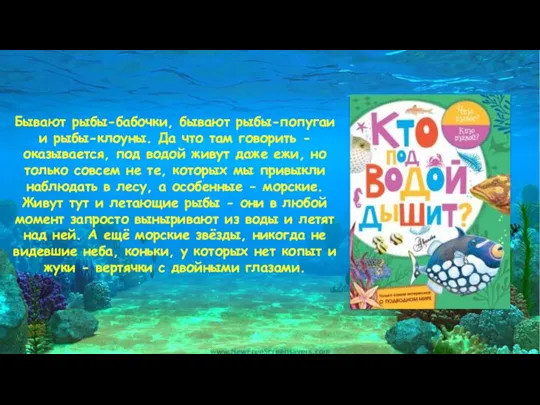 Бывают рыбы-бабочки, бывают рыбы-попугаи и рыбы-клоуны. Да что там говорить - оказывается,