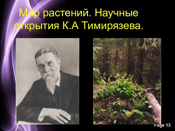 Мир растений. Научные открытия К.А Тимирязева.