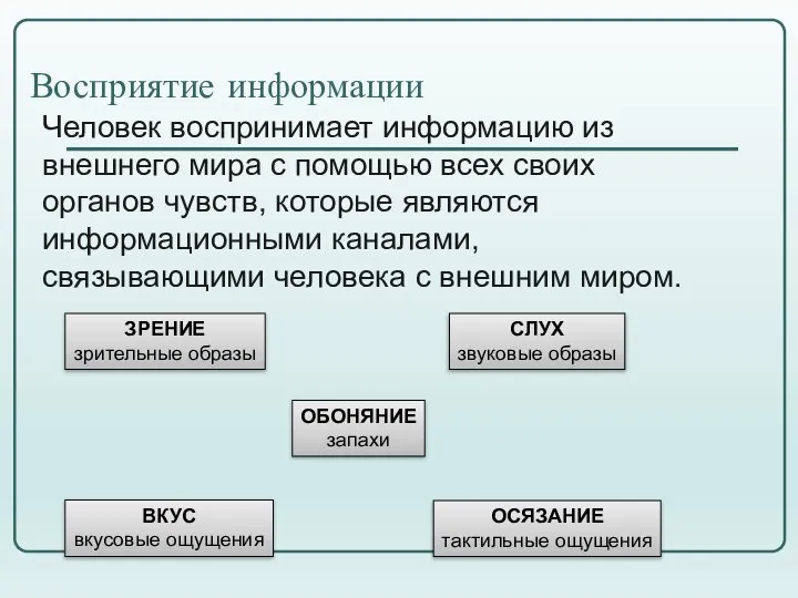 Восприятие информации Человек воспринимает информацию из внешнего мира с помощью всех своих