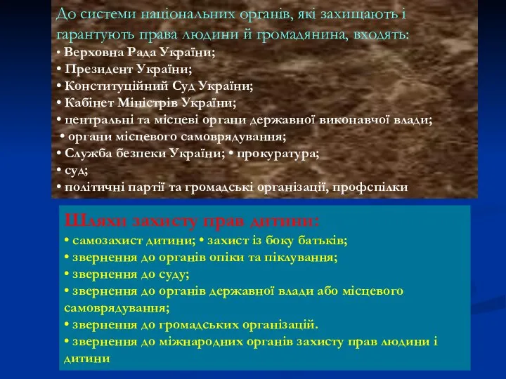 До системи національних органів, які захищають і гарантують права людини й громадянина,