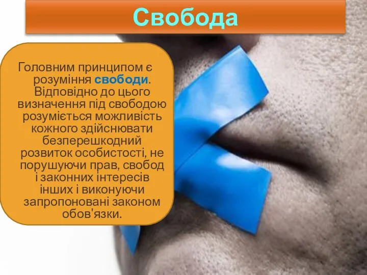 Головним принципом є розуміння свободи. Відповідно до цього визначення під свободою розуміється