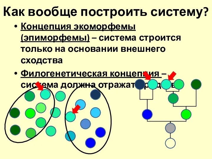 Как вообще построить систему? Концепция экоморфемы (эпиморфемы) – система строится только на