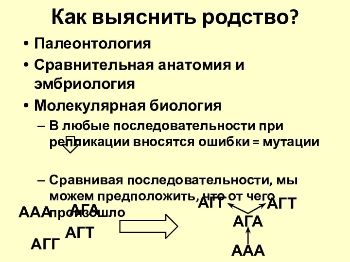 Как выяснить родство? Палеонтология Сравнительная анатомия и эмбриология Молекулярная биология В любые