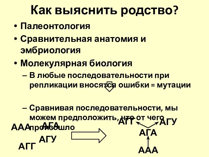 Как выяснить родство? Палеонтология Сравнительная анатомия и эмбриология Молекулярная биология В любые