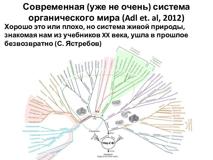 Современная (уже не очень) система органического мира (Adl et. al, 2012) Хорошо