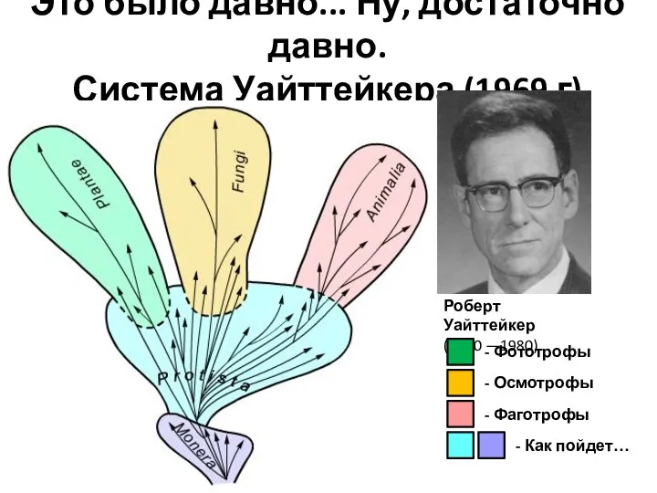 Это было давно... Ну, достаточно давно. Система Уайттейкера (1969 г) Роберт Уайттейкер