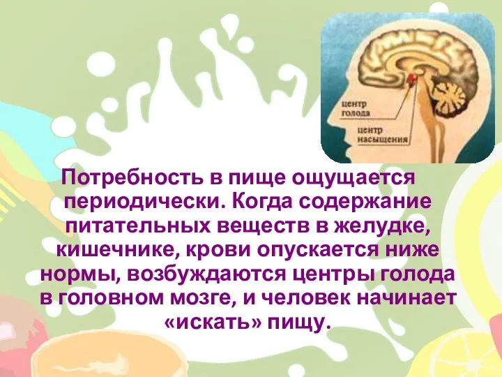 Потребность в пище ощущается периодически. Когда содержание питательных веществ в желудке, кишечнике,