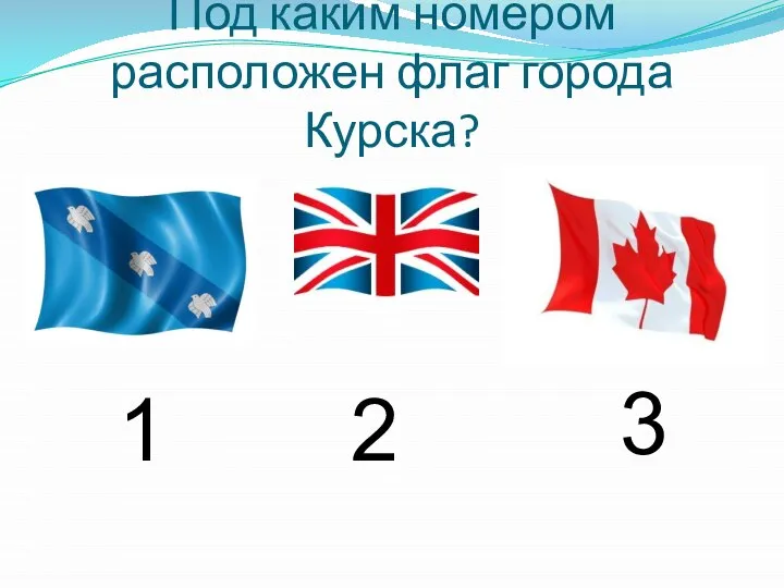 Под каким номером расположен флаг города Курска? 1 3 2