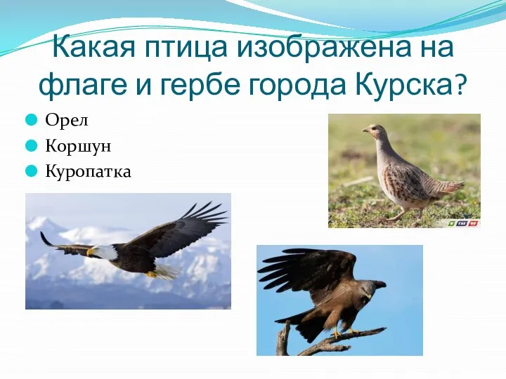 Какая птица изображена на флаге и гербе города Курска? Орел Коршун Куропатка