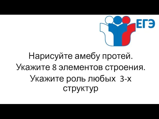 Нарисуйте амебу протей. Укажите 8 элементов строения. Укажите роль любых 3-х структур