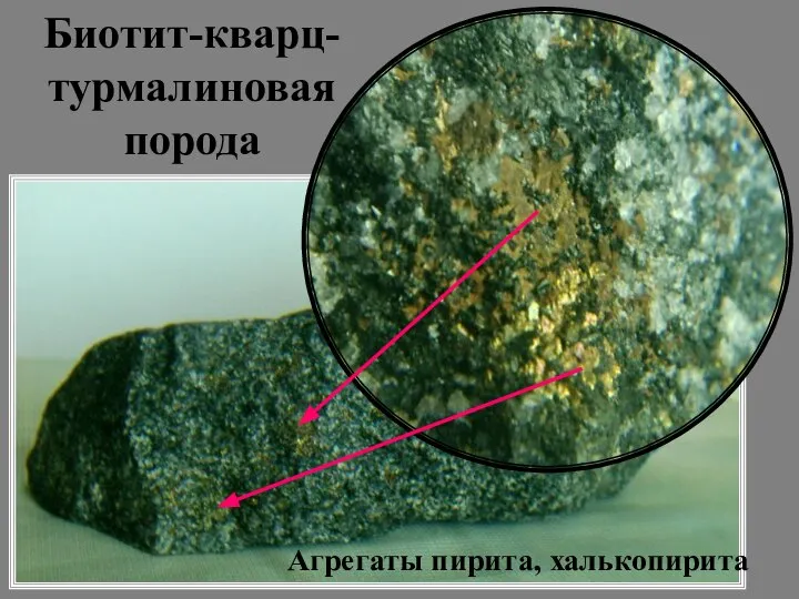 Биотит-кварц-турмалиновая порода Агрегаты пирита, халькопирита