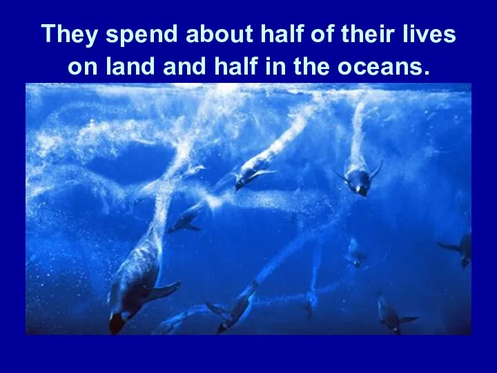 They spend about half of their lives on land and half in the oceans.