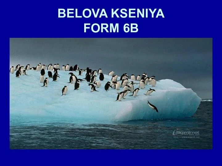 BELOVA KSENIYA FORM 6B