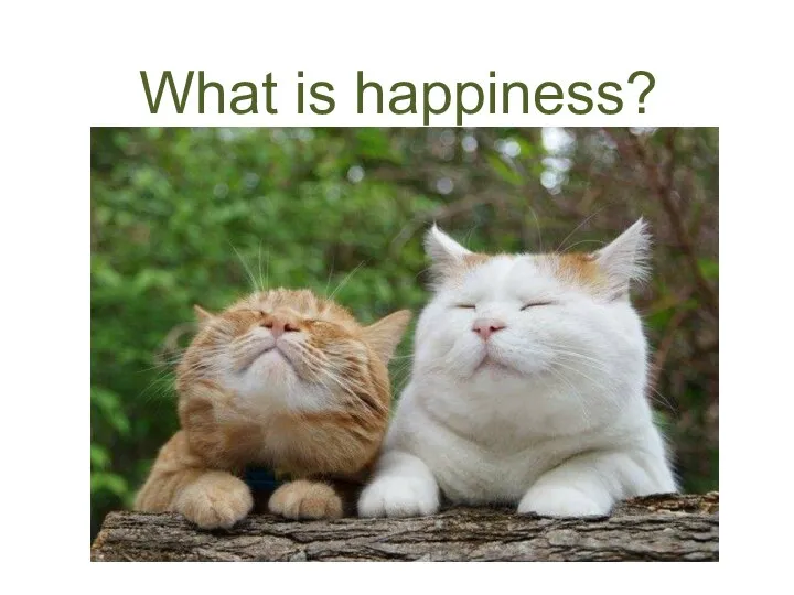 What is happiness?