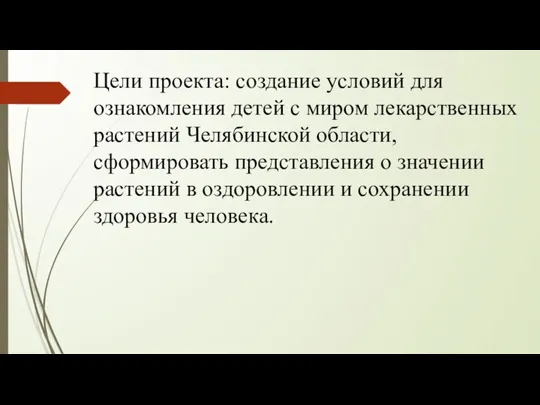 Цели проекта: создание условий для ознакомления детей с миром лекарственных растений Челябинской